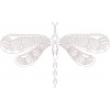 dragonfly-2