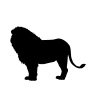 preview_-_lions5