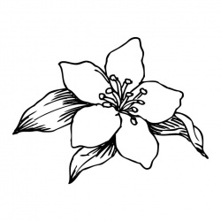 preview_-_flowers2