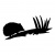preview_-_ukwildlife6