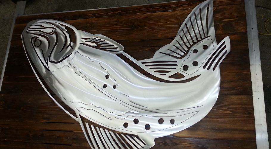 fish plasma art